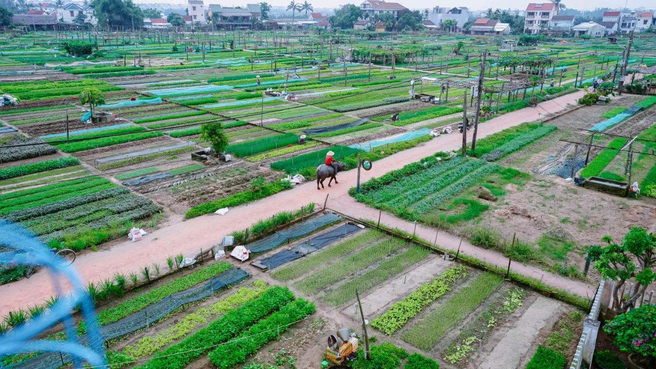 Tra Que Green Villa Hoi An Bagian luar foto